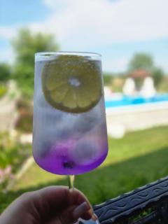 Αρχοντικό Παπανικολάου - 1