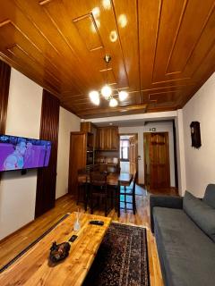 MetsoVillas στο κέντρο του Μετσόβου - 8