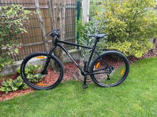 Villa Aselva with Pool near Kamenjak Nature Park - 6