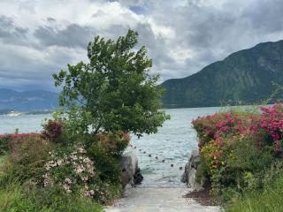 Vener Appartament - A due passi dal Lago - 5