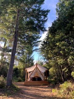 Secluded Safari Tent Perfect for a Glamping Getaway near Blue Lake, California - 7