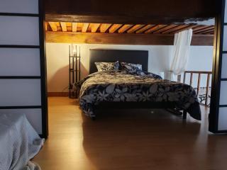 Lyon:superbe canut duplex périmètre Unesco - 8