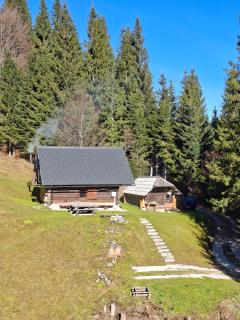 Brunarica na Goreljeku, Pokljuka - 2