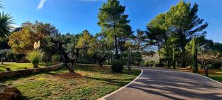 Le Masdemoiselle Mazet - 8