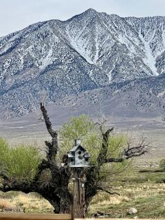 Stunning Design Rental Incredible for a Luxury Escape in Lone Pine, California - 1