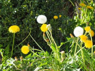 Gîte avec piscine - Rigal haut - 2