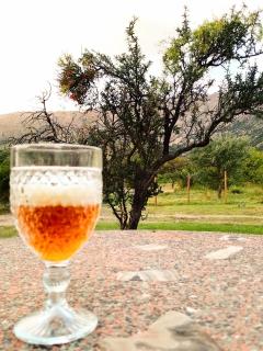 Cabaña Los Espinillos - 5