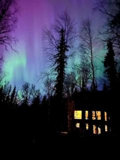 Embrace Nature in this Secluded Cabin in Anchorage, Alaska - 8