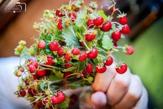 Kedra Village Retreats - Mountain Escape - 1