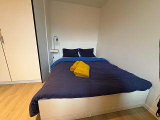 Briefstreet - Louvain - 1