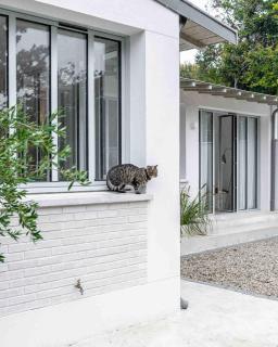 Suite Cosy Barbizon - 7