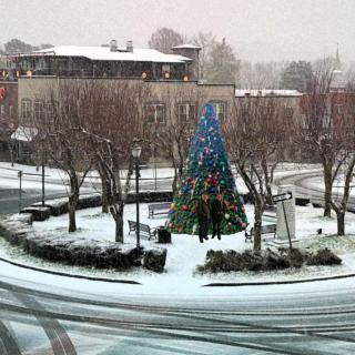 DeerWoodsLodge DOT com-Ellijay Coosawattee River-Sleeps 16-ARCADE-Hot Tub-Fire Pit-Winery's - 9