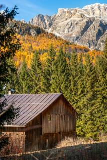 Angiolina Charming Apartment R&R - 7