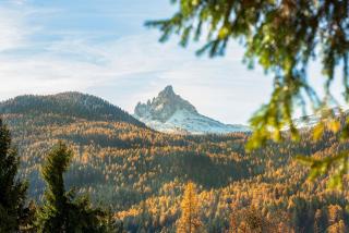 Angiolina Charming Apartment R&R - 3