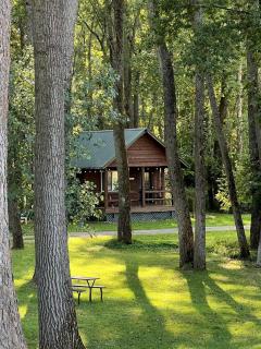 Rustic Riverside Cabin Retreat for Families in Belfast, NY - 8