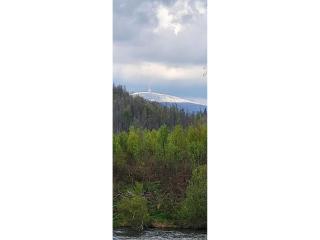 Ferienhaus in Blankenburg - 9