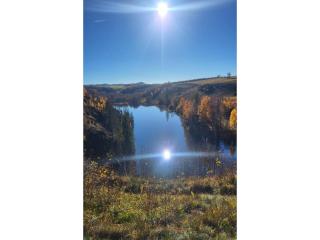 Ferienhaus in Blankenburg - 8