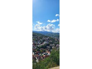 Ferienhaus in Blankenburg - 3