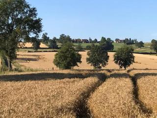 Lapeyrouse Bonnet - 8