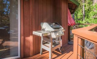 4BR Cabin near Fly-In Lake with Deck Dining & BBQ - 1