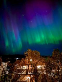 Mikkelvik Brygge - Mikkelvika - 5