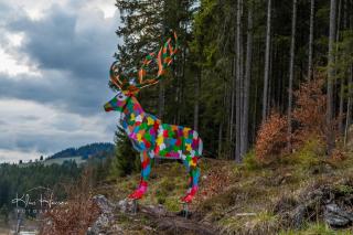 Ferienwohnung Sohnrey für 4 Gäste, Titisee-Neustadt - 8