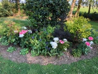 Maison du golf Le Havre Etretat - 8