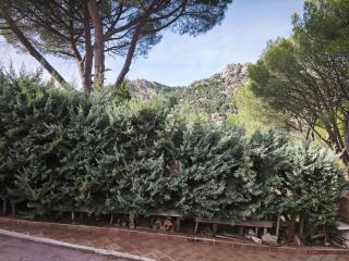 La casa Calabaza - 3