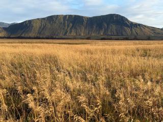 Large cabin 4 rooms with Hekla volcano view - 5