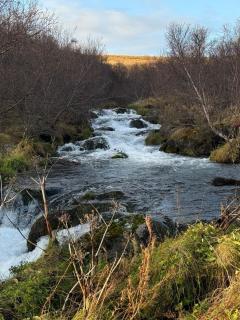 Large cabin 4 rooms with Hekla volcano view - 3