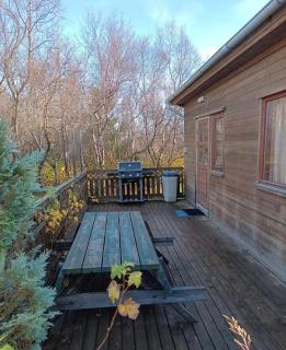 Large cabin 4 rooms with Hekla volcano view - 7