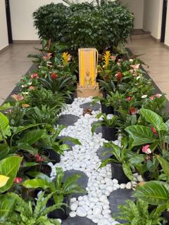 Casa Linda Residency - Varkala - 6