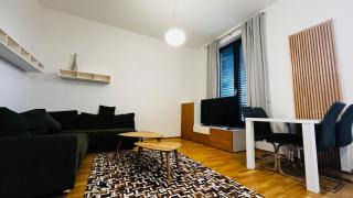 Apartment Holesovice, garden, garage - Prag - 8