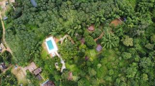 Misty Night Wayanad Pool Resort - Wayanad - 8