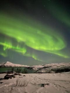 Mikkelvik Brygge - 1