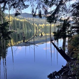 The Owls Nest at Westwood Lake - 9