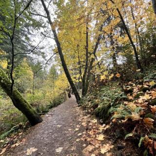 The Owls Nest at Westwood Lake - 7
