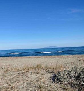 bel appartement vue montagne proche bastia - 8