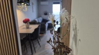 Apartamenty Graniczna 2 - 5