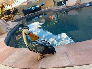 Amazing Grace Vacation Home - 8