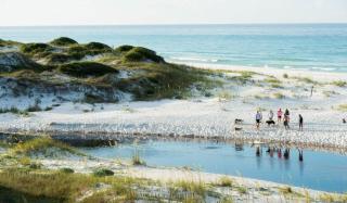 Nautilus! Sleeps 22 - Ocean View - Rooftop Deck - 5