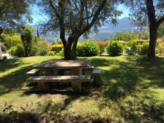 Casa Marques - Vila Nune - 8