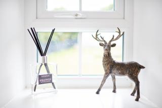 Superb Location - 'The Annexe' - at Ty Moel Isaf - 9