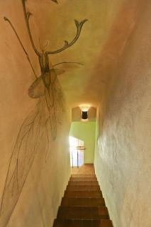 Villa With Bamboo Grove In Maremma - 4