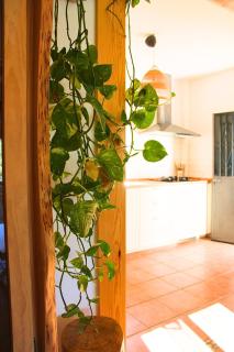 Casa Rural El Membrillo - 1