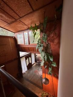 Maravilhosa Casa da Floresta - 0