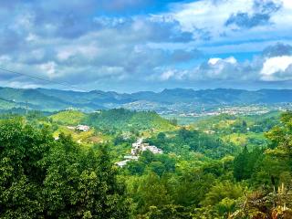 Casa Nube - Cayey - 1