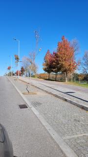 Prelada Apartment With Garage 2 rooms by Su e Luís - 3