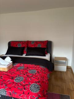 Sunny Garden Old Town - 3