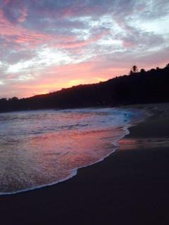 The Sammy tranquilo - 0